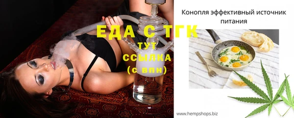 гашик Бородино