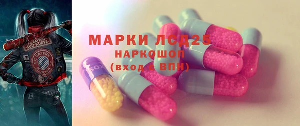 гашик Бородино