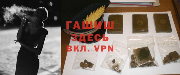 гашик Бородино