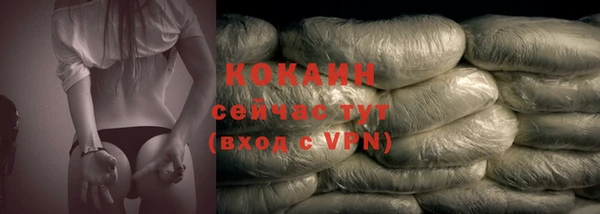 гашик Бородино