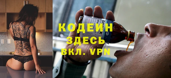 гашик Бородино