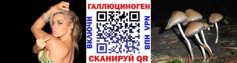 Галлюциногенные грибы Cubensis  закладка  Семилуки 